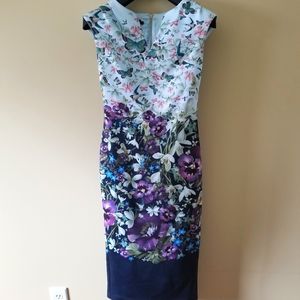 Ted Baker - Enchanted Garden Sleeveless Bodycon Dress